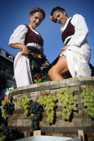 Wine Tasting In Belgrade | Pissup Stag Dos