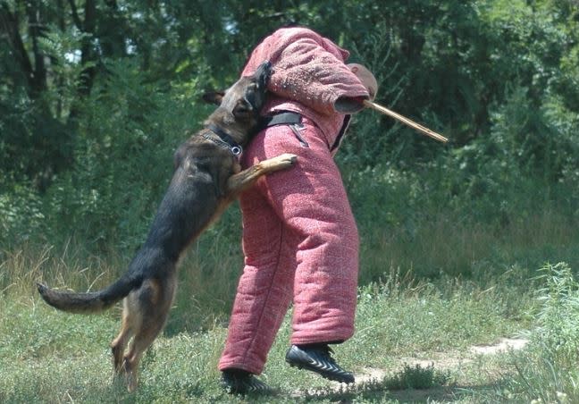 Mann gegen Hund Budapest | Jetzt buchen mit Pissup Reisen!