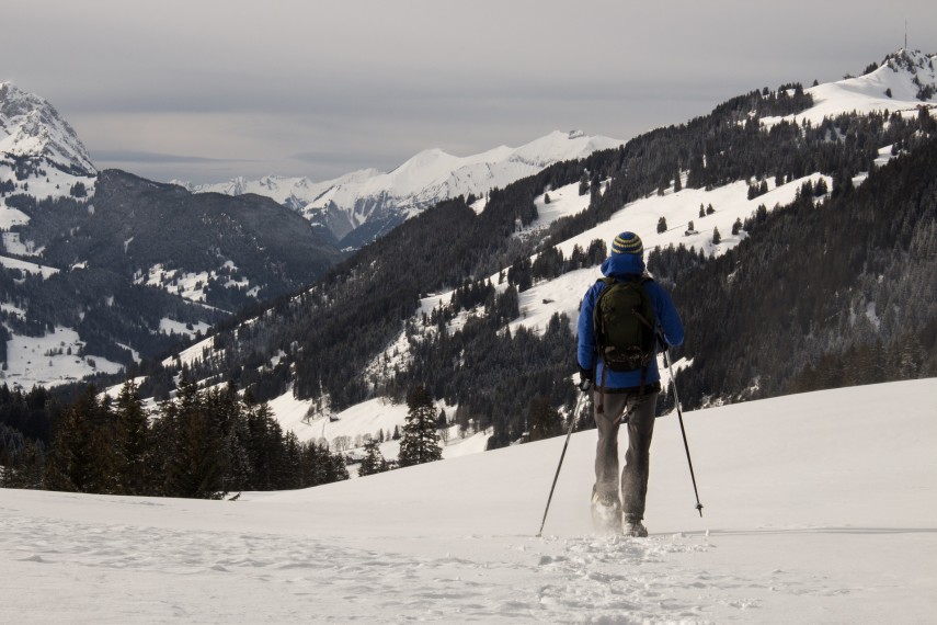 Schneeschuhwandern im Schwarzwald | Pissup Reisen