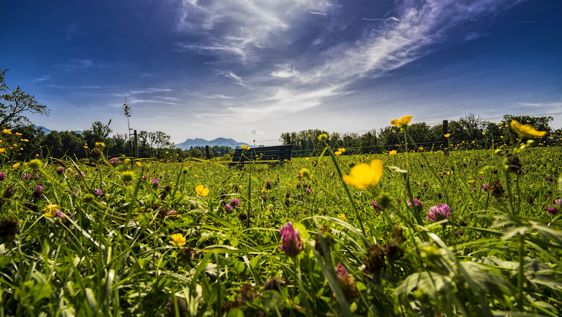 Das Allgäu ist die perfekte Destination für einen JGA im Grünen