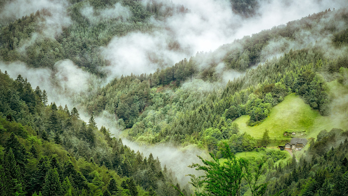 Der Schwarzwald ist eine ideale Outdoor und Adventure Destination