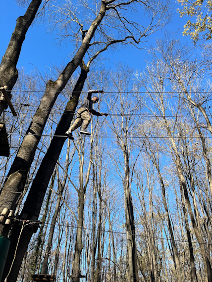 Hochseilgarten & Zipline Abenteuer Bukarest | Jetzt buchen!