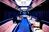 Partybus & Strip