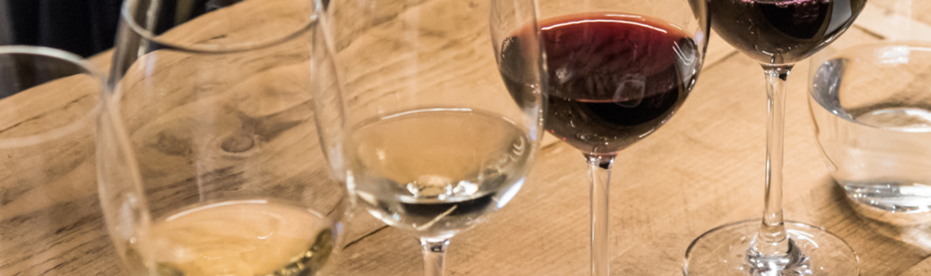 Dégustation de Vins à Bordeaux. EVG idéal pour amateur de vins