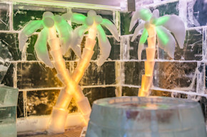 Ice Pub + Robotic Bar Experience in Prague