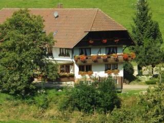 Apartment in Schwarzwald