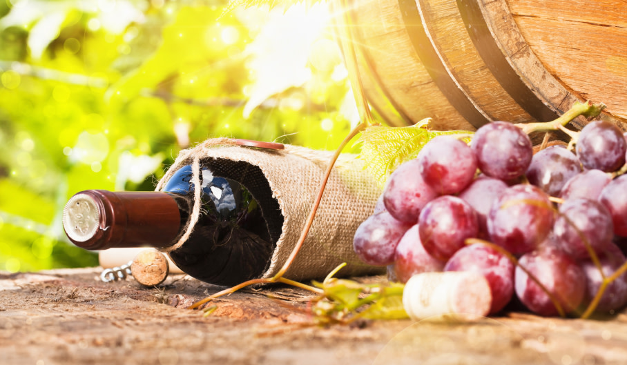 Weinverkostung auf einem Weingut Riga | Pissup Reisen