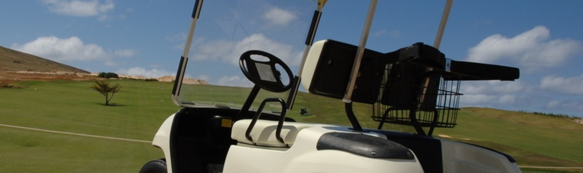 Sightseeing i Golfbiler