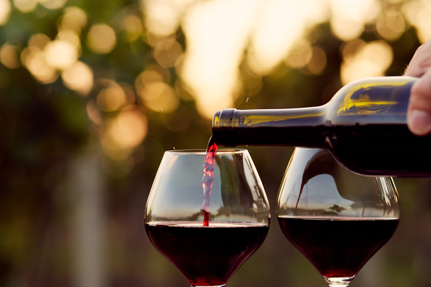 Vineyard Tour