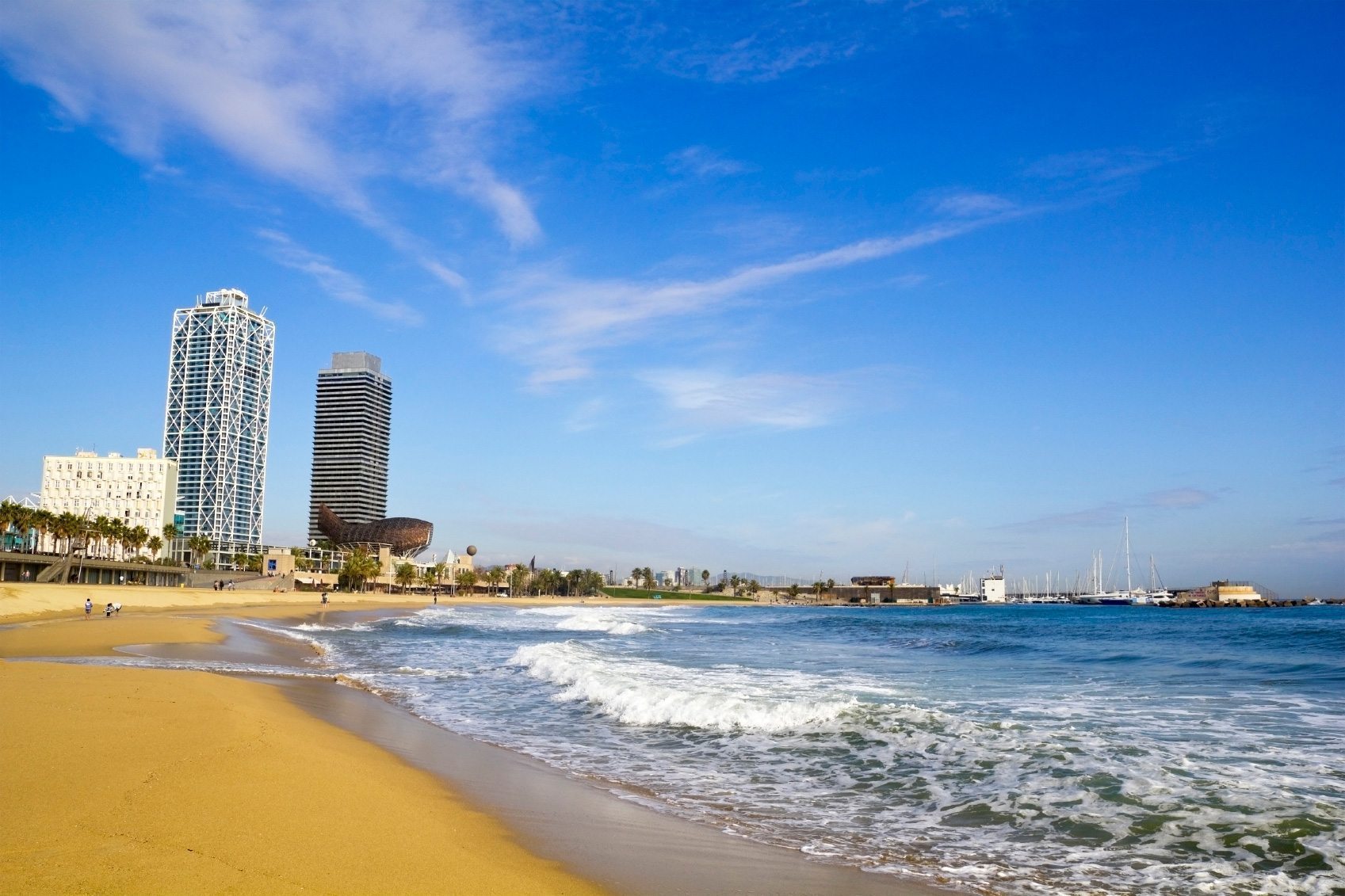 Barcelona Beach Activities Fun In The Sun Pissup Blog